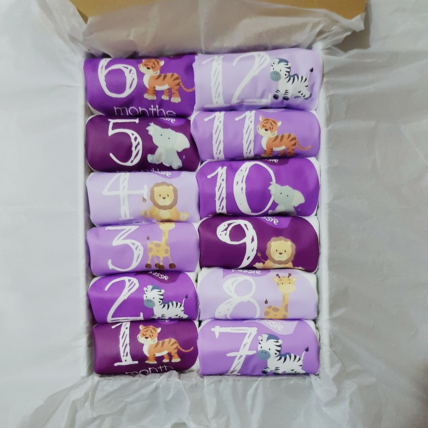 Baby Custom Monthly Onesies - Set