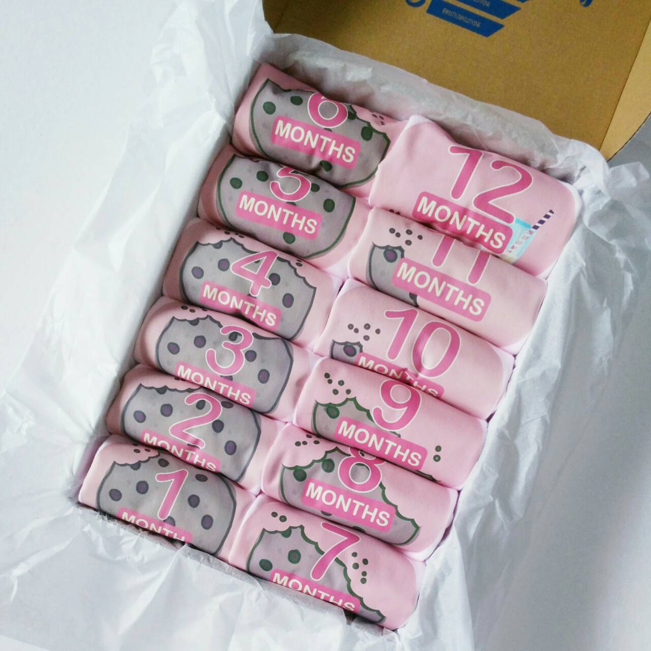 Baby Custom Monthly Onesies - Set