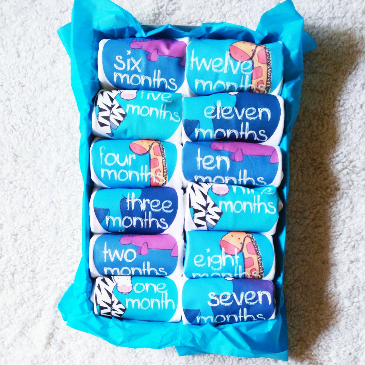 Baby Custom Monthly Onesies - Set