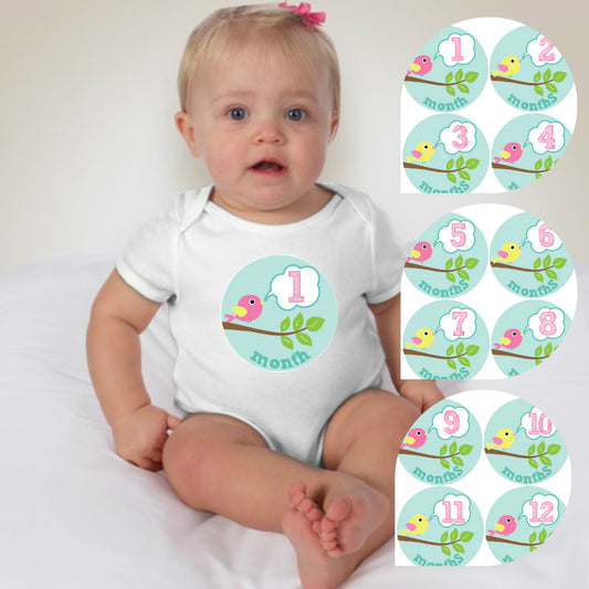 Baby Custom Monthly Onesies - Tweety Birds - MYSTYLEMYCLOTHING