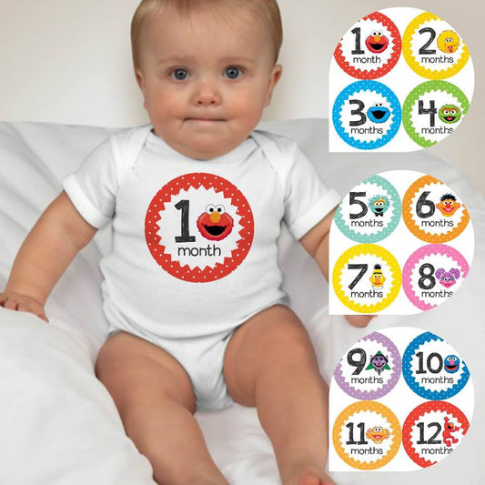 Baby Custom Monthly Onesies - Sesame Street - MYSTYLEMYCLOTHING