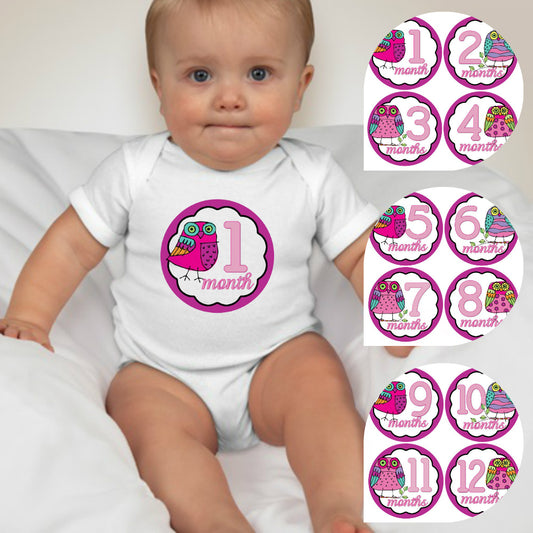 Baby Custom Monthly Onesies - Pink Bird - MYSTYLEMYCLOTHING