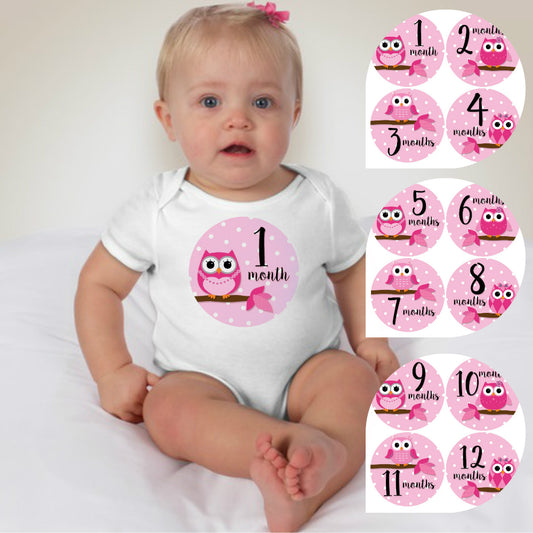 Baby Custom Monthly Onesies - Pink Owl - MYSTYLEMYCLOTHING