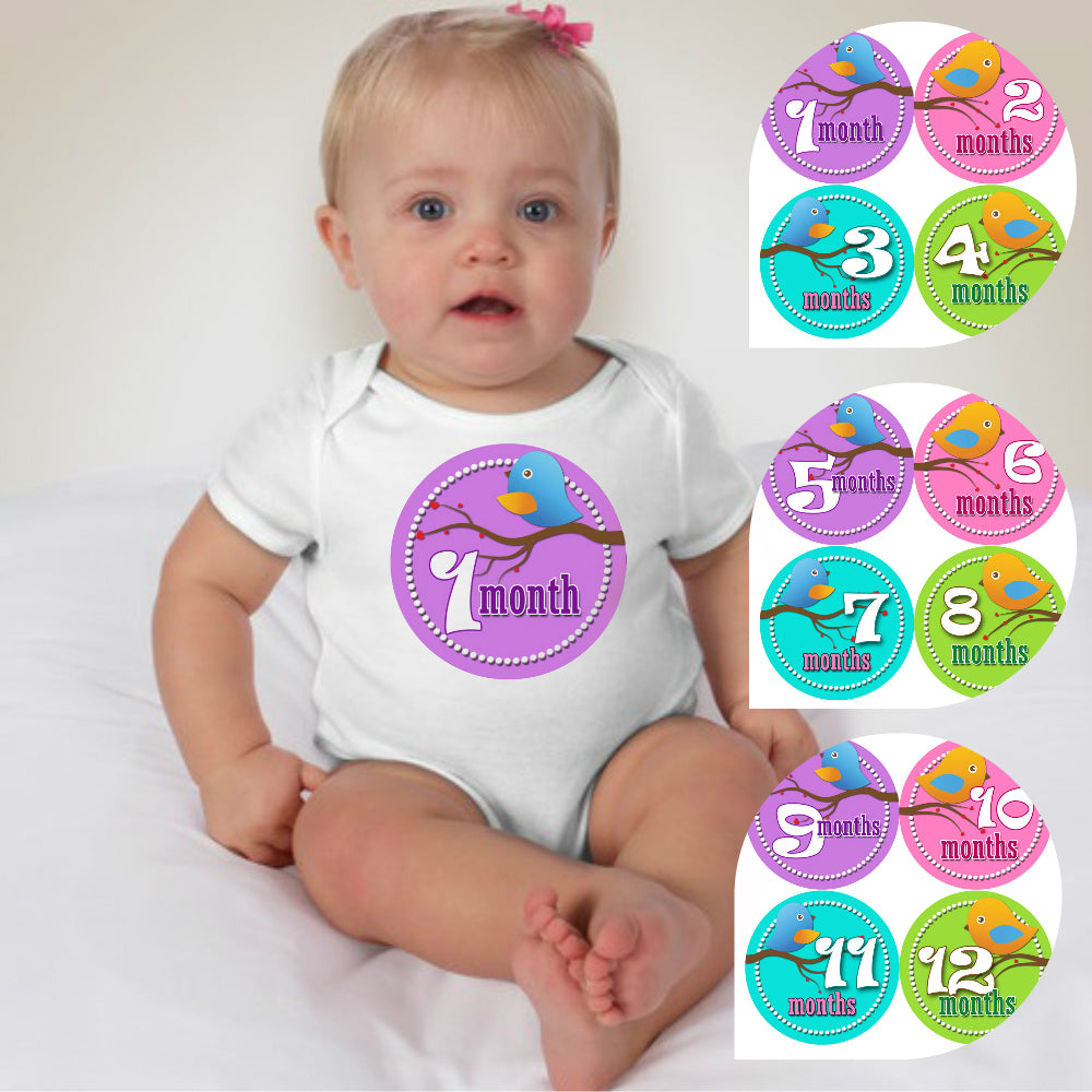 Baby Custom Monthly Onesies - Birds and Twigs - MYSTYLEMYCLOTHING