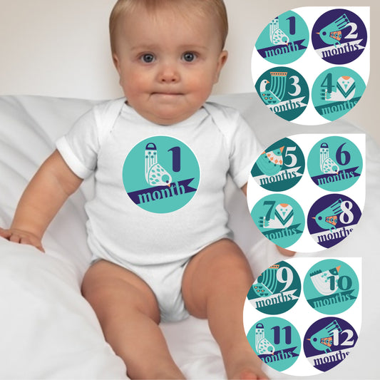 Baby Custom Monthly Onesies - Blue Bird - MYSTYLEMYCLOTHING