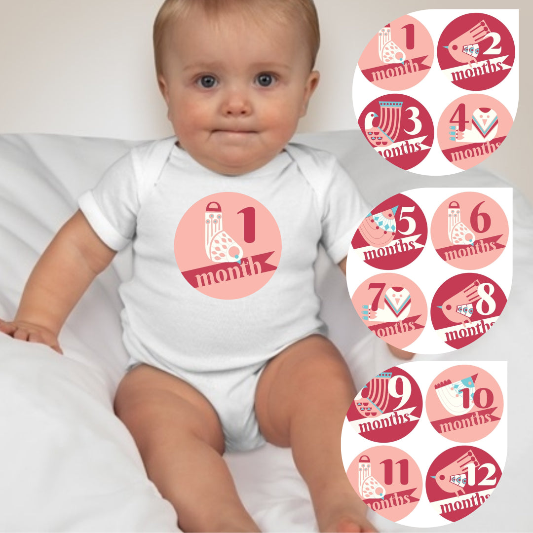 Baby Custom Monthly Onesies - Pink Bird - MYSTYLEMYCLOTHING