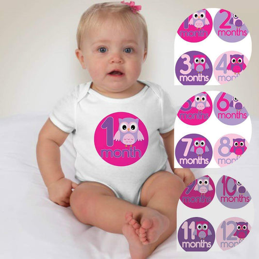 Baby Custom Monthly Onesies - Pink Purple Owl - MYSTYLEMYCLOTHING